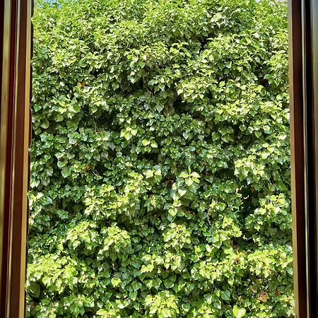 ゲストハウス & Tiramola - Old Town トロギール